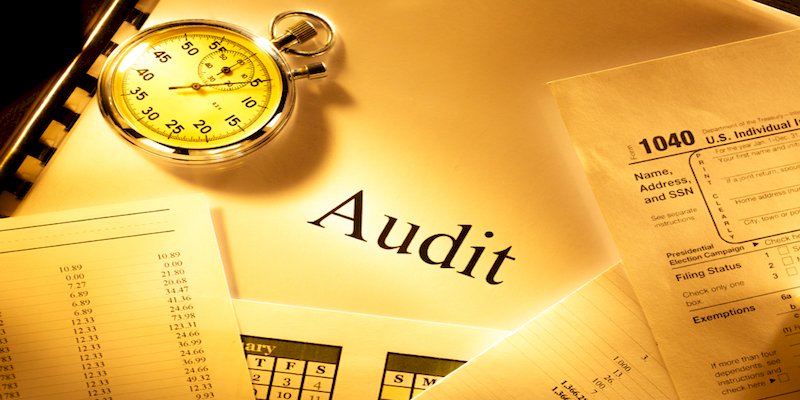 What is the Professional Business Audit and its benefits?