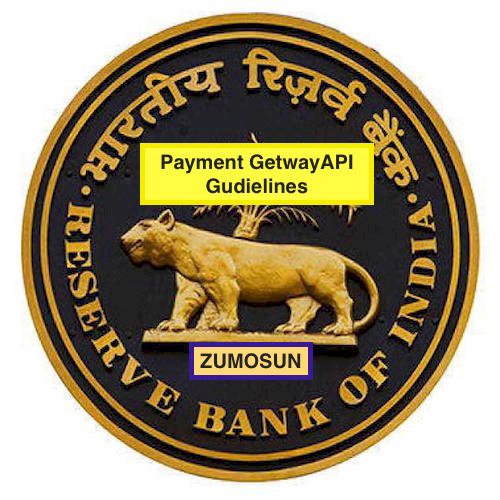 What are the  RBI Payment Gateway API Guidelines