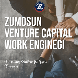 Accelerate Your Venture Growth with Zumosun's VC Solutions
