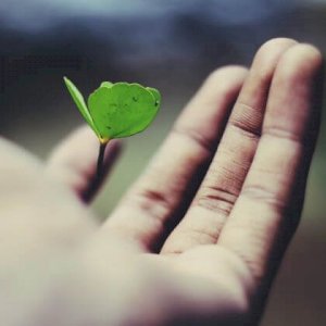 Charitable Trust Registration Service provider in Jaipur, Rajasthan