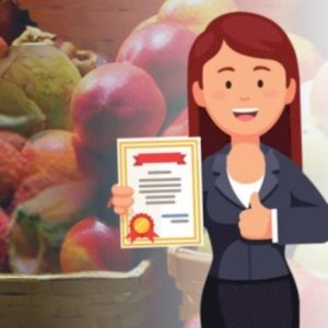 Fruit Product order (FPO) Registration service provider in Jaipur, Rajasthan