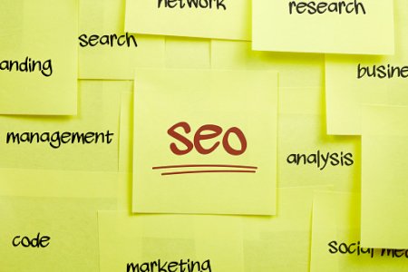 SEO Services that Grow Traffic and Increase Revenue